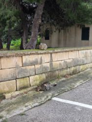 2e9164ae-ef33-4dc2-afbf-b284d1f4d01d