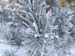 969a05a4-5a1e-43c3-ac5c-7cb28a8e1e73