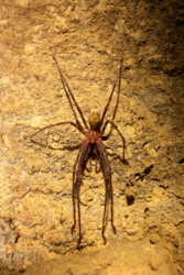 b3cf5e13-e704-4b3f-8276-d54ae950a1b7