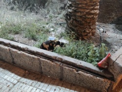 bd5977a0-ca4e-487b-b37a-17219282d5fc