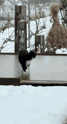 57b7e3e4-3caf-4565-b86d-a61297c506f9