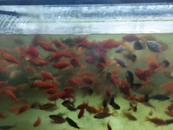 ce9b7401-f7e0-4ddf-a713-ed23b6c35603