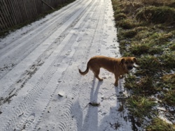 f8ff15a0-9887-464f-9919-8127e0b4c4a6