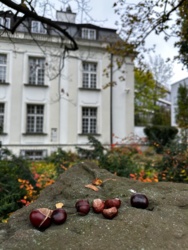 bd69dfca-96e4-4e2d-be36-32564bcab440