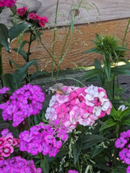 915b7b8e-4d9f-4c6e-9a3e-e664b6d3a7f7