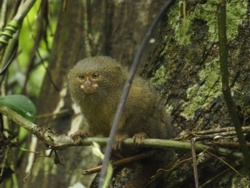 2e0ed821-8407-4d28-9c07-3db42076884a