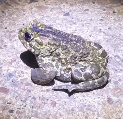 ee0315e6-3aae-4ec3-b662-5d64a474304e