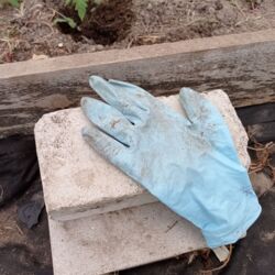 d0355a71-e826-4e91-8330-4e35c5757462