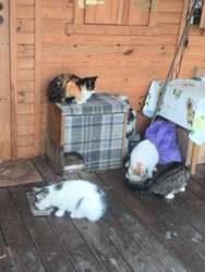 41a44604-88c8-41a4-b4f4-cd8f2e7a4088