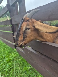 de9629ae-b2cb-4698-a64d-e3f577afa972