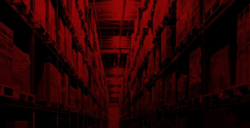 Złamane sankcje. Polak, putinista i ślepe ministerstwo