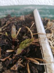 9ad175e2-ae69-49b1-b879-3d8f3b7d6885