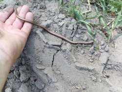 bd6b7258-0872-4802-b4fc-918948d5b120