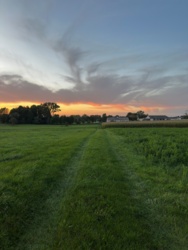 c99dfb61-2fba-4aba-a5c5-8ff36ca19622