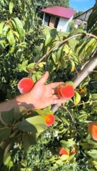 202d464e-5b7a-45a2-a07d-547a60a33c5d