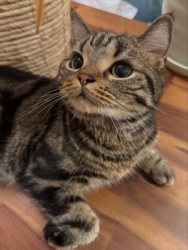 8899e48f-b79a-41e3-92a1-8f7de6fd3ec5