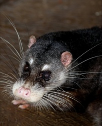 0f88573f-49f2-494f-937d-a398d2532fb2