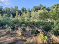 b3c6ba4b-be07-41d1-99b2-cc8e13f7ee08