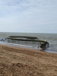 ce465fb0-c765-4372-bc84-3b3e047556c8