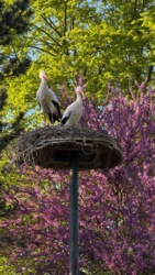 a4e8d53f-ecbc-4eea-9f2c-3434f325929f