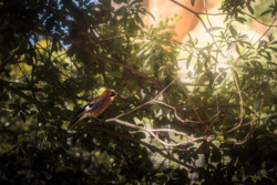 447f02ac-2e7c-4f15-8aa9-71ecae10357b