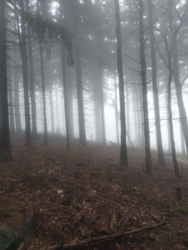 3ef25108-a33d-4f18-abf8-87f5549a9c69