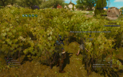 ddba4a33-36df-4a7c-b635-8297276c638a