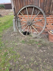 5ca4b1ae-b141-4a92-bd51-79ab6409b05d