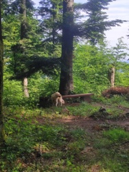 733813b8-1132-46ee-b9bc-149090a93022