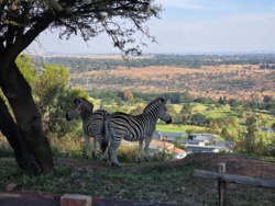 8a13d740-386f-4020-891b-073392b3cde8