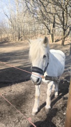 94177bca-dcad-46d8-8ba2-0c8b6f8899ca