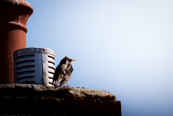 553f797f-f1e7-4ba1-a4c8-ff69ecc4d50d