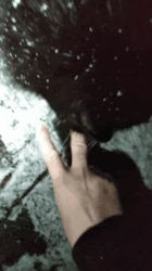 56d30381-75c6-4fce-9797-c6a2a3f592c1