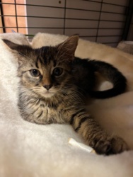 dd66fec1-e67f-4684-8bec-29ee09a2f6e1