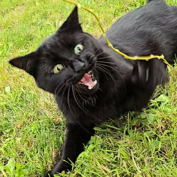 e69083a7-5203-419d-94a7-1c0910772a95