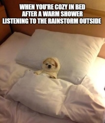 563a1ffc-2d37-4f06-9abc-5eb0a21feb85