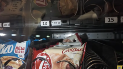 "Afera automatowa" w Polskim Radiu. Pracownicy nagrywani kamerą w rogaliku