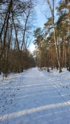 cd95dfb0-a412-4805-be0b-d39d2677d496