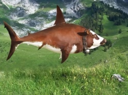 87384112-3afa-4ee5-ab54-ba2ece840274