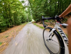 f4fbd593-8d2c-46d3-bd2a-934c3a89d60f