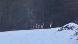 26f6e491-f631-45a0-b930-cd4d277c34bd