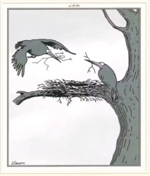 cc65f4d8-aaca-4ac6-aa3e-626c8f8a1bf5