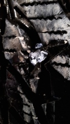 8cf7f069-fddd-4133-b80b-67b04e465794