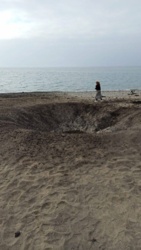 9ae652f3-8776-4cca-b5e9-faba4bbd3b2e