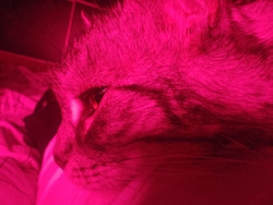 dfd8c106-24ad-467f-bc52-1e42b2456ae7