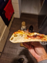 11598b2e-8a05-444c-97e7-c744e1e8a72f