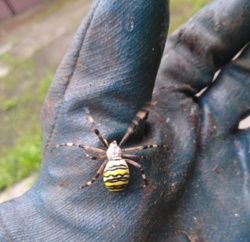 9fdaba22-99be-40b3-ba01-bfd0910747e9