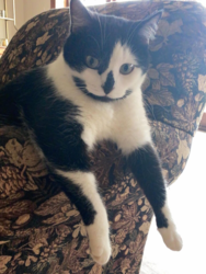 46d391ac-aac8-4561-9494-c568540cbf49