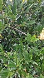 bc4fdfd5-7bef-464a-b163-930991405663