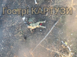 319bfaef-1728-450a-8ef3-63dade65e537